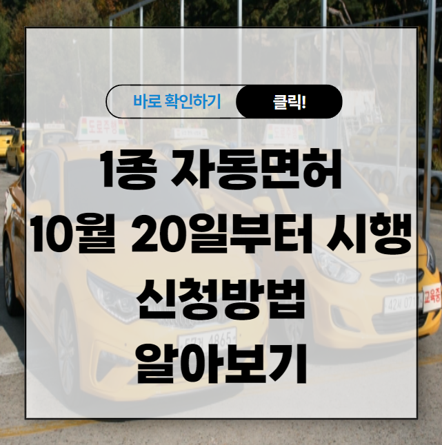 1종 자동면허 10월 20일부터 시행 및 신청방법 알아보기