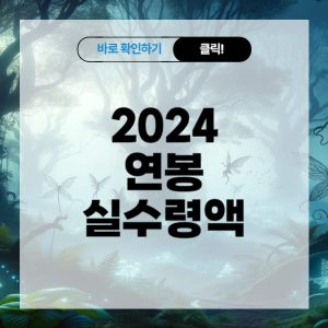 2024년 연봉 실수령액 확인하기