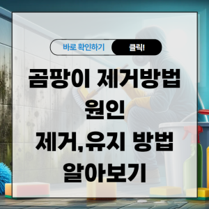 곰팡이 제거방법 원인 알고 제거하고 유지하는 방법 알아보기