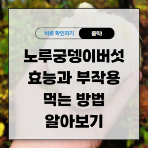 노루궁뎅이버섯 효능과 부작용 먹는 방법 알아보기