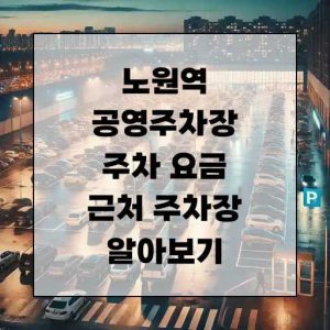 노원역 공영주차장 주차 요금 근처 주차장 알아보기