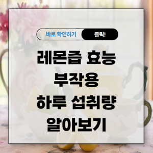 레몬즙 효능 부작용 및 하루 섭취량 알아보기