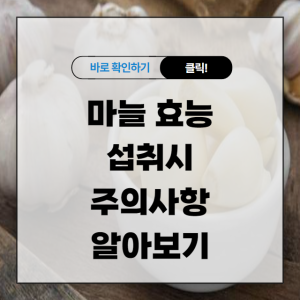 마늘 효능 섭취시 주의사항 알아보기