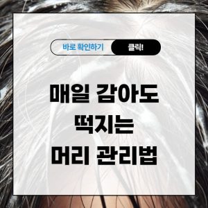 매일 감아도 떡지는 머리 관리법