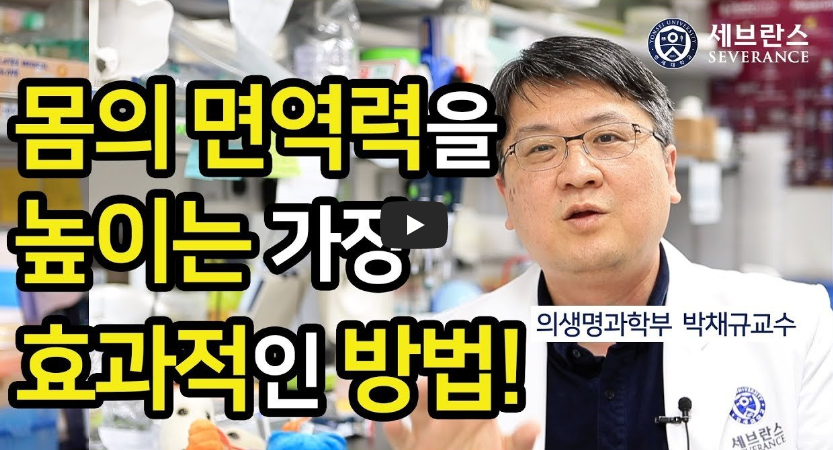 면역력을 높이는 10가지 방법