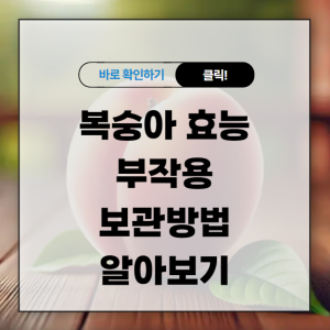 복숭아 효능 부작용 보관방법 알아보기