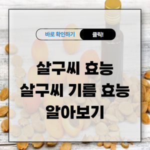 살구씨 효능 및 살구씨 기름 효능 알아보기