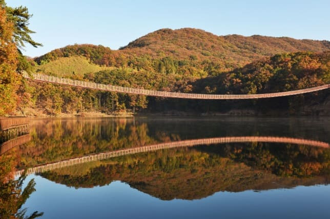 서울 근교 단풍 명소 파주 마장호수 출렁다리