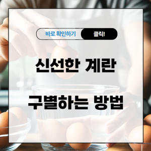 신선한 계란 구별하는 4가지 방법 알아보기