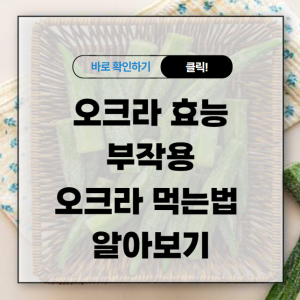 오크라 효능과 부작용 오크라 먹는법 알아보기