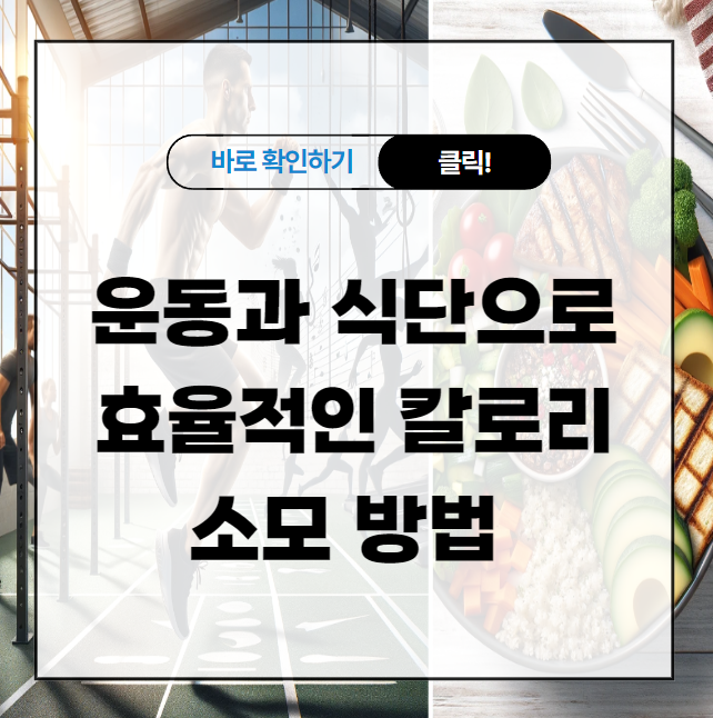 운동과 식단으로 효율적인 칼로리 소모 방법