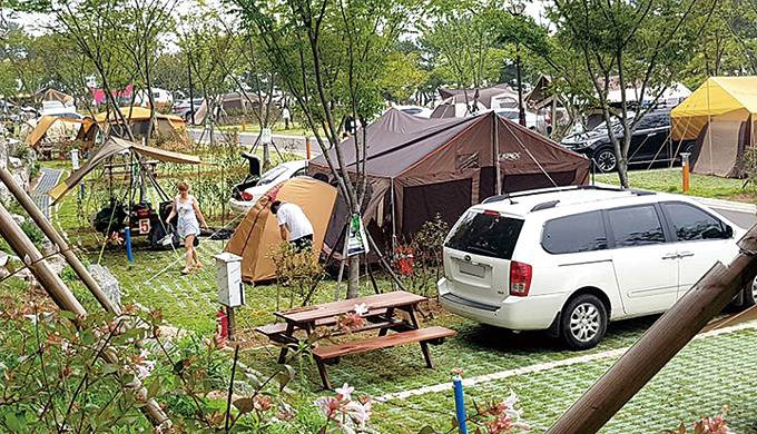 울산 대왕암 오토캠핑장 방문 전 체크리스트