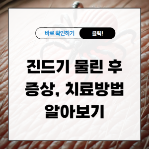 진드기 물린 후 증상, 치료방법