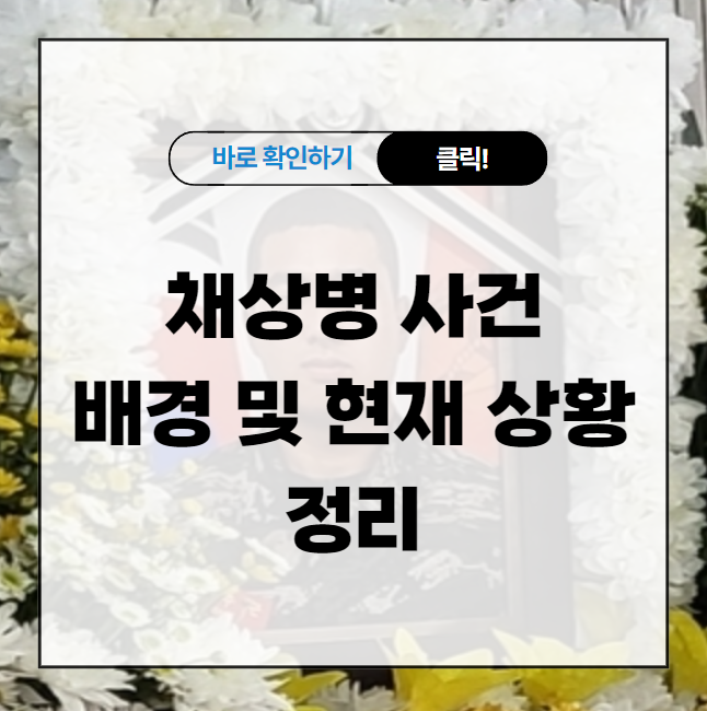 채상병 사건 배경 및 현재 상황 정리