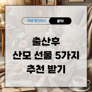 출산후 산모 선물 5가지 추천 받기