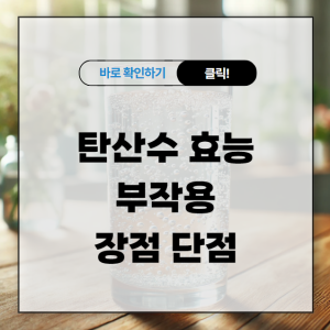 탄산수 효능 부작용 및 장점 단점