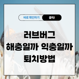 러브버그 해충일까 익충일까, 퇴치방법